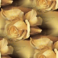 670404mhhtzc4tv4