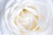 galina-n-jBh3BGP-gjA-unsplash