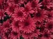 markus-winkler-LcaMfWaN28k-unsplash