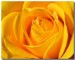1344596bema7i47h7