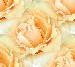 3613919ytpvbdz6qv